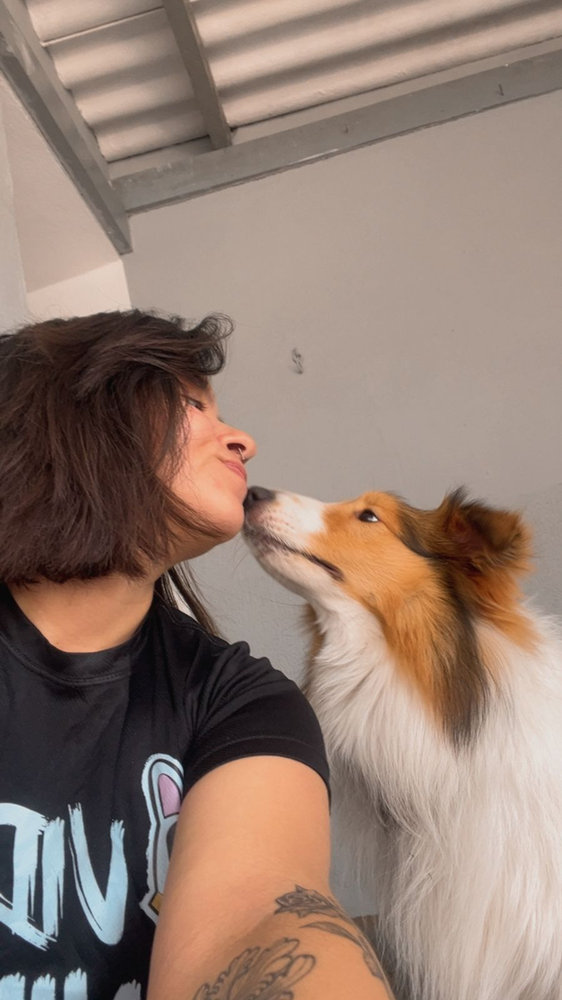 Tia Rebeca recebendo carinho de um sheltie