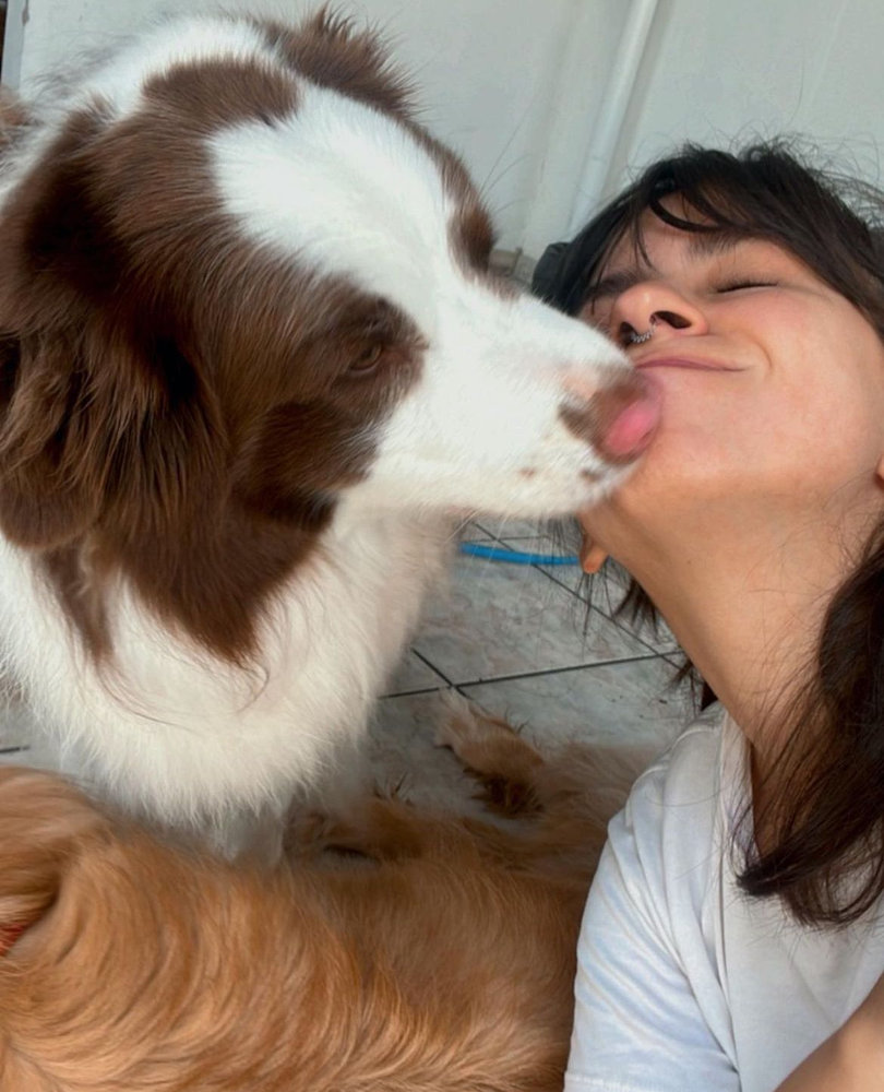 Border collie dando lambida carinhosa na Tia Rebeca