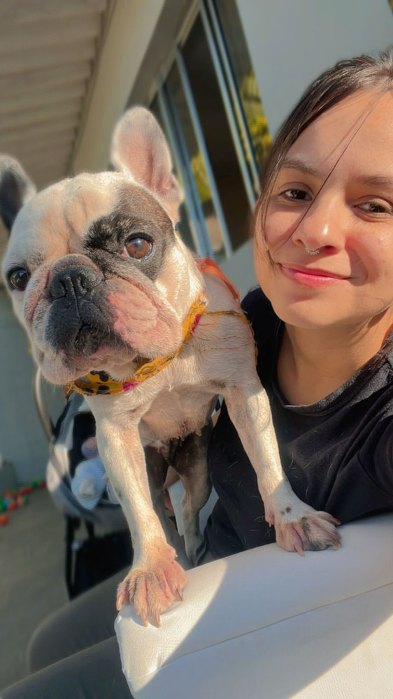 Tia Rebeca com bulldog francês no colo